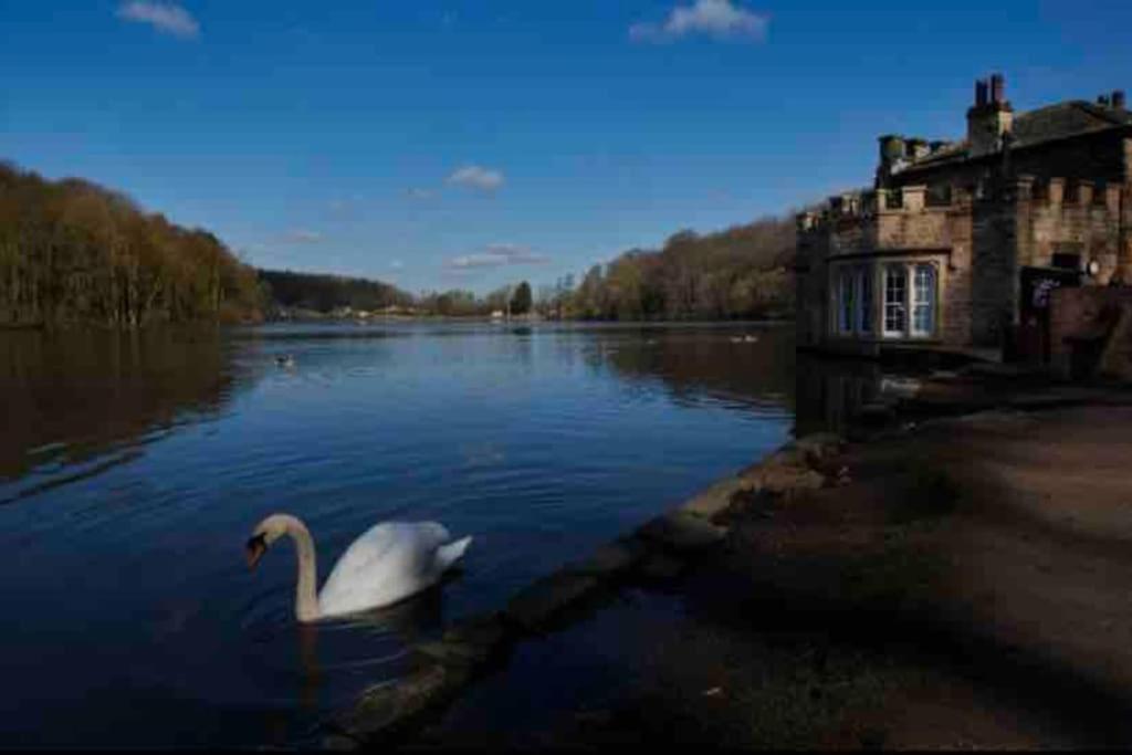 Millstone Cottage Newmillerdam Hill Top Luaran gambar